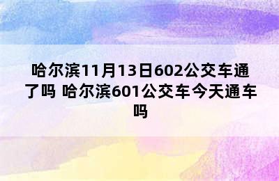 哈尔滨11月13日602公交车通了吗 哈尔滨601公交车今天通车吗